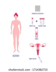 Recipient preparation for embryo transfer. Egg donation. In vitro fertilization. Vector illustration.