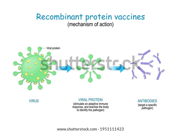 77 Recombinant Vaccines Images, Stock Photos & Vectors | Shutterstock