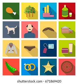 recreation, cosmetology, theater and other web icon in flat style.wheel, textiles, nature icons in set collection.