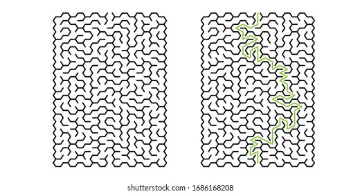 Rectangle 15x20 vector maze with hexagonal cells and solution