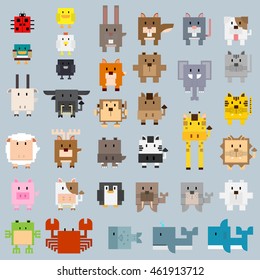 rectangle cartoon color flat animal illustration