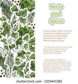 Rectangle composition  of  hand draw and color  sketch  of different green herbs and spices.Template with text. Vector illustration