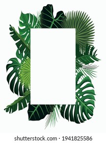 rectangle frame with tropical leaves - banana leaves, palm and monstera leaves - vector rectangle frame with tropical leaves