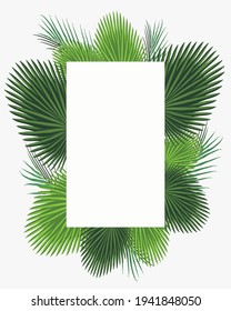 marco rectangular con hojas tropicales - hojas de palma - marco vectorial con hojas de palma alta resolución