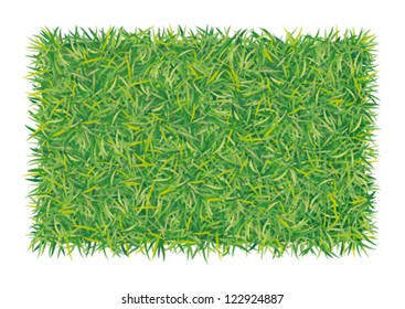 Rectangle of grass, vector illustration