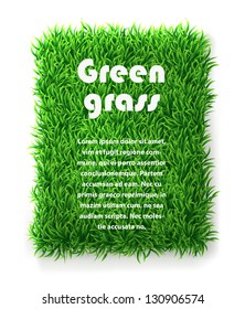 Rectangle green grass banner. vector background