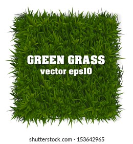 Rectangle green grass banner. Vector background