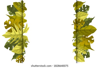 Rectangle Green Tropical Plant Summer Leaf Border Frame Background