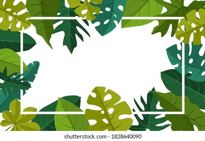 Rectangle Green Tropical Plant Summer Leaf Border Frame Background