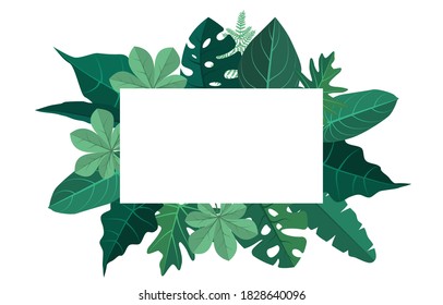 Rectangle Green Tropical Plant Summer Leaf Border Frame Background