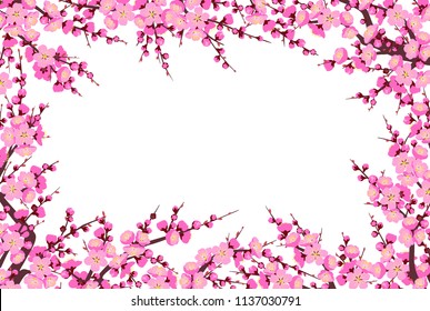 Rectangle horizontal frame made with flowering tree branches and shoots with pink flowers on white background.  Plum blossom is a symbol for spring. Floral decoration for Chinese New Year. 