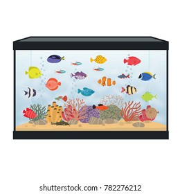 Rectangular aquarium with colorful fish