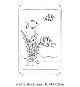 rectangular aquarium with colors fish