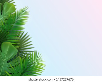 
Rectangular background with green tropical leaves of different palms and monstera. Vector EPS 10.