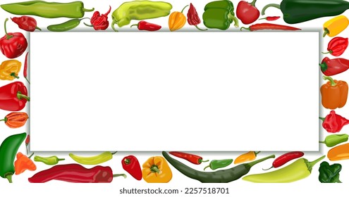 Banner rectangular con diferentes tipos de pimientos. Pimientos dulces. Pimientos de chile leves y medianos calientes. Pimientos muy calientes. Verduras. Ilustración vectorial aislada en fondo blanco. Plantilla horizontal.