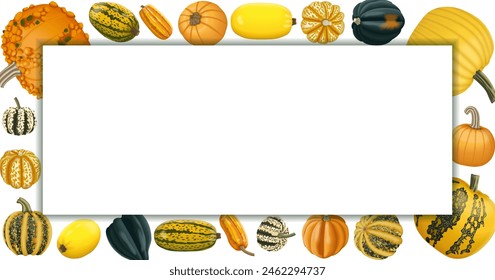 Anuncio rectangular con tipos de calabaza invernal. Cucurbita pepo. Frutas y verduras. Ilustración vectorial aislada. Horizontal Plantilla.