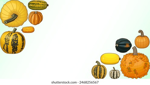 Rectangular banner with types of winter squash. Cucurbita pepo. Fruits and vegetables. Isolated vector illustration. Horizontal template. Clipart.