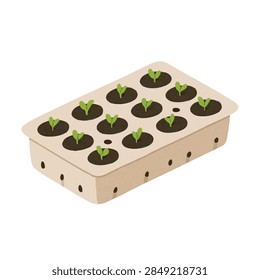 Rectangular biodegradable tray filled with dark soil plugs and small green seedlings growing indoors