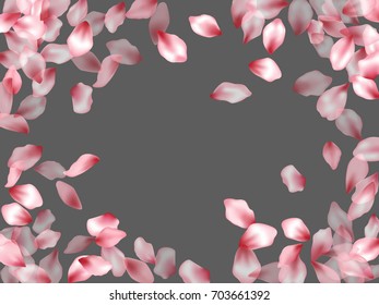 Rectangular border of flying petals isolated on grey invitation background, flower parts wedding decorative frame. Pink blossom elements, flower petals valentines day background border.