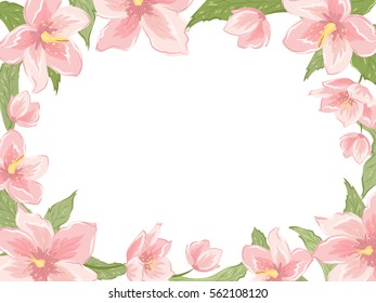 Rectangular border frame template with pink sakura magnolia hellebore flowers on white background. Horizontal landscape orientation. Vector design illustration blooming floral wreath garland foliage.