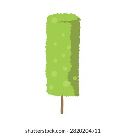 Rectangular Boxwood Topiary Isolated Vector