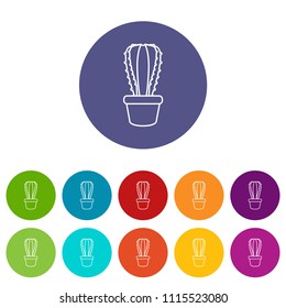 Rectangular cactus icons color set vector for any web design on white background