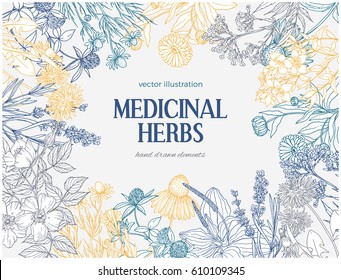 Plantilla de tarjeta rectangular con bocetos vintage de hierbas medicinales y flores, lugar para texto, ilustración vectorial, manzanilla, caléndula, trébol, hierba de San Juan, plátano, rosa de perro y valeriana