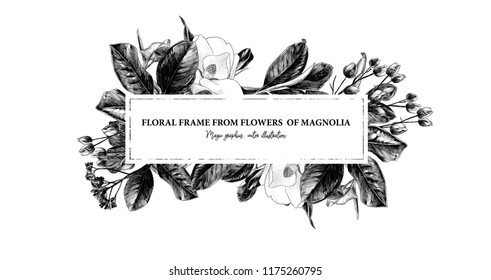 rectangular elongated frame decorated with Magnolia flowers and leaves, sketch vector graphics monochrome illustration on white background