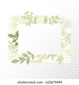 Rectangular floral frame ornament vector. Green branches and leaves border. Transparent background