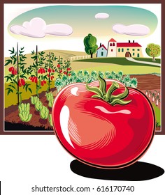 rectangular frame with agricultural landscape, and tomato