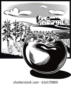 rectangular frame with agricultural landscape, and tomato