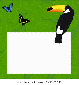 rectangular frame with a beautiful bird parrot Toucan and butterflies on a green background with foliage. vector illustration. template for photo frame or greeting