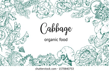 Rectangular frame design template with different cabbage. Hand drawn outline vector sketch illustration. Broccoli, kohlrabi, brussels sprout, kale, romanesco