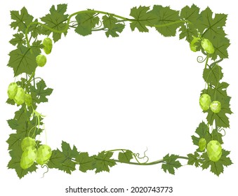 Rectangular Frame with Hops. A branch with dense leaves and cones. Sagging shoots with leaves. Wild nature. Flat style illustration with place for text. Isolated on white. Vector