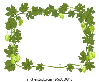 Rectangular Frame with Hops. A branch with dense leaves and cones. Sagging shoots with leaves. Wild nature. Flat style illustration with place for text. Isolated on white. Vector
