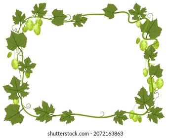 Rectangular Frame with Hops. A branch with dense leaves and cones. Sagging shoots with leaves. Wild nature. Flat style illustration with place for text. Isolated on white. Vector