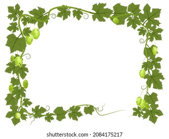 Rectangular Frame with Hops. A branch with dense leaves and cones. Sagging shoots with leaves. Wild nature. Flat style illustration with place for text. Isolated on white. Vector.