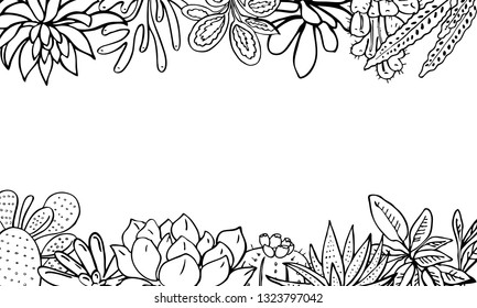 Rectangular frame with houseplants, cactuses and succulents on top and bottom. Vector hand drawn outline sketch illustration black on white background