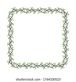 rectangular frame with leaf motif, border with natural style, delimiter for text with isolated white background.
