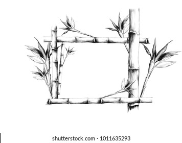 rectangular frame made of branches of bamboo sketch vector graphics monochrome drawing