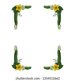 Rectangular frame made of cucumbers, cucumber slices, leaves and flowers. Decorative element with fresh vegetables on white background for your design