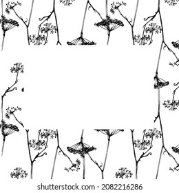 rectangular frame made of a plant flower. template of hand-drawn edible plant flower parsley seeds, black outline with blank white rectangles for text for floral design label
