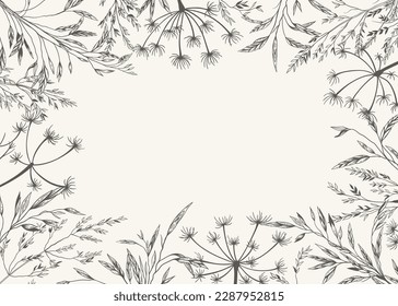 Rectangular frame with meadow herbs. Cover template with dry grass. Black and white. Line art. Botanical background with copy space. Layout border for greeting, postcards, logos, covers, labels.