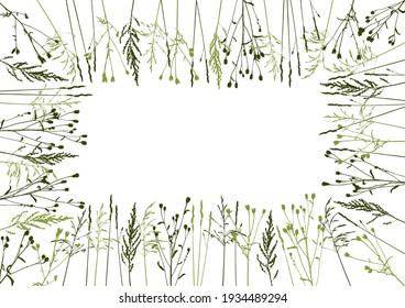 Rectangular frame with natural herbs on white background - silhouettes of wild green grass for spring and summer herbal design