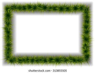 rectangular frame with spruce branches on a white background