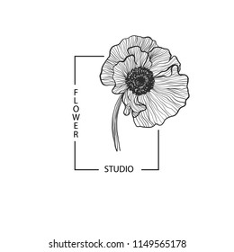 Rectangular frame with text Flower Studio and  poppy for your brand.