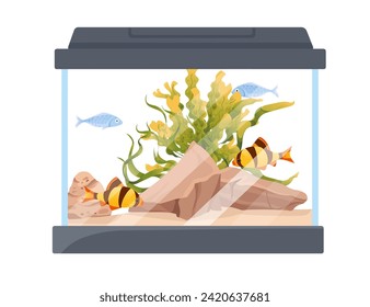 Rectangular glass aquarium with fishes grass stones and decorative items vector illustration isolated on white background