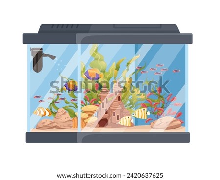 Rectangular glass aquarium with fishes grass stones and decorative items vector illustration isolated on white background