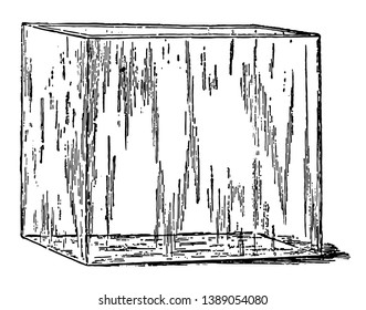 El acuario de vidrio rectangular, que es un acuario, es un acuario de vidrio para peces vivos, dibujos de líneas vintage o ilustración de grabado.