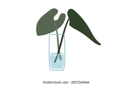 Jarrón rectangular de vidrio con grandes hojas verdes. Clipart. Decoración aislada en un fondo blanco. Ilustración vectorial. Eps 10.